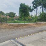 IMG-20240811-WA0000