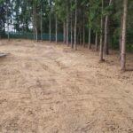 IMG-20240811-WA0004